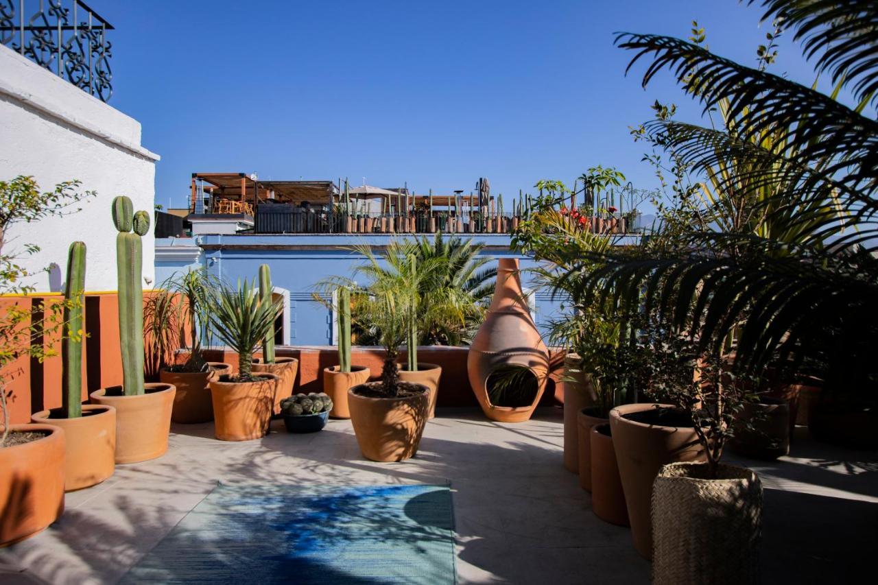 Hotel Los Amantes Oaxaca Εξωτερικό φωτογραφία