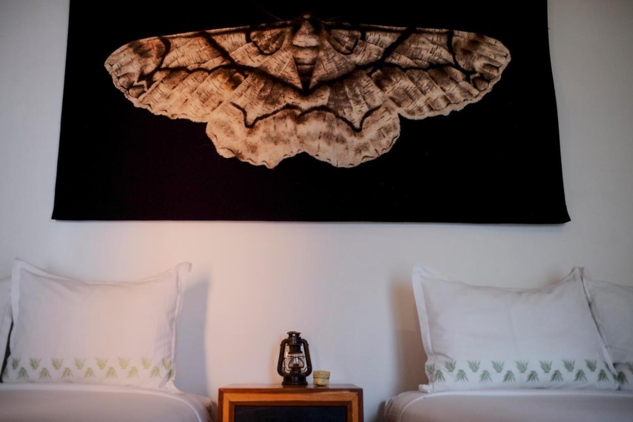Hotel Los Amantes Oaxaca Εξωτερικό φωτογραφία